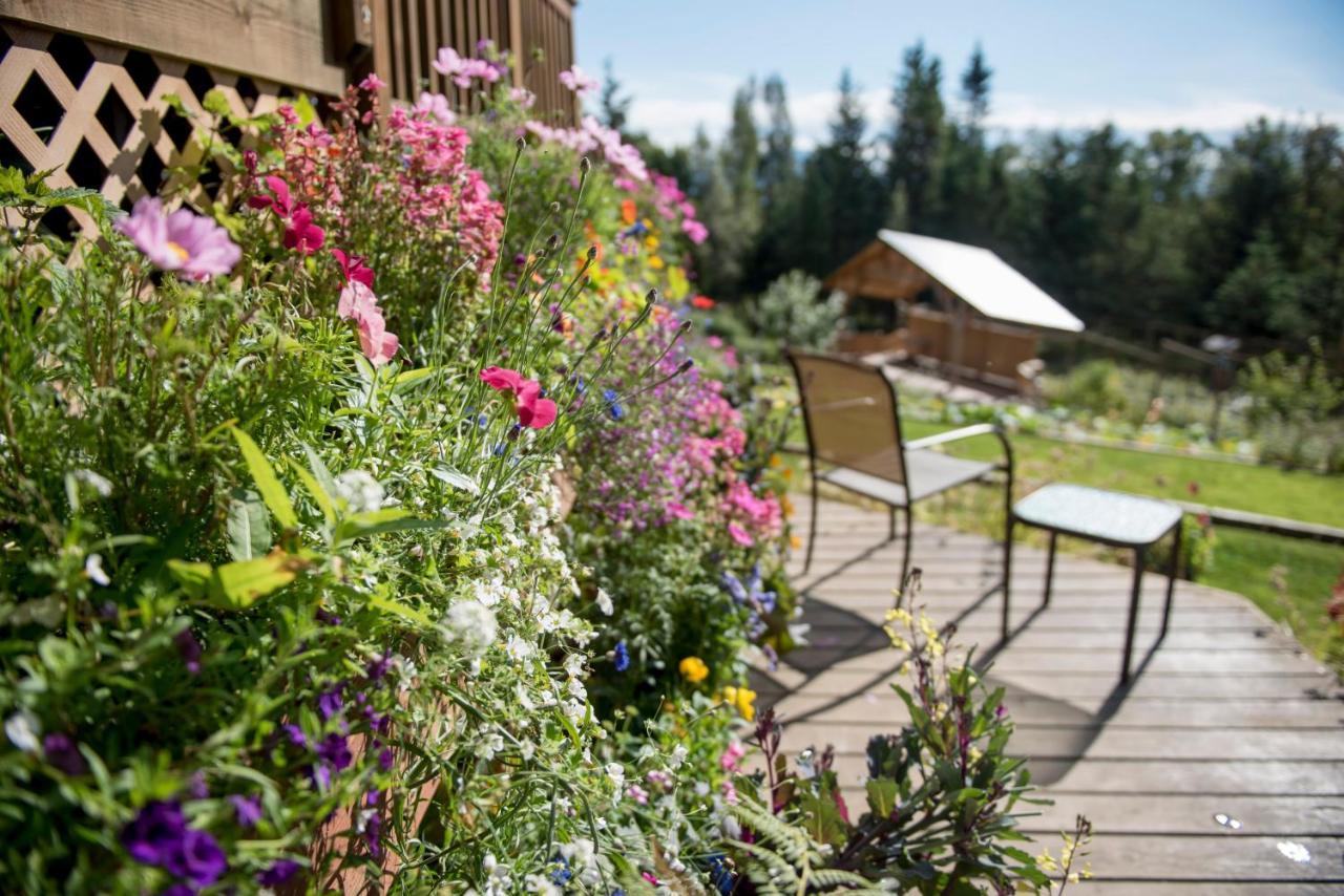 Bear Creek Winery And Lodging Bed & Breakfast Homer Eksteriør bilde